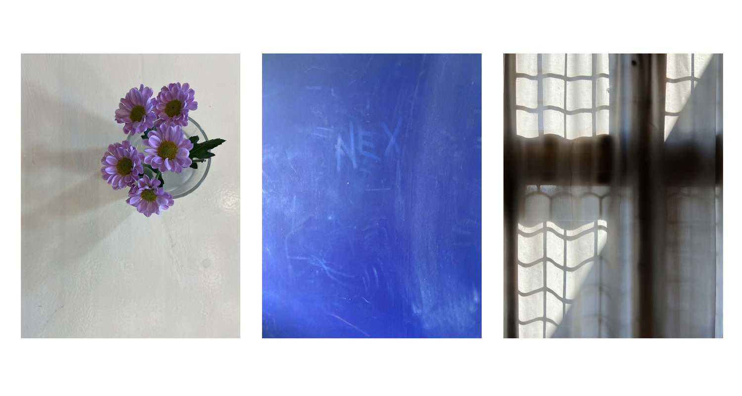 Studies: flowers, blue wall, curtain shadow